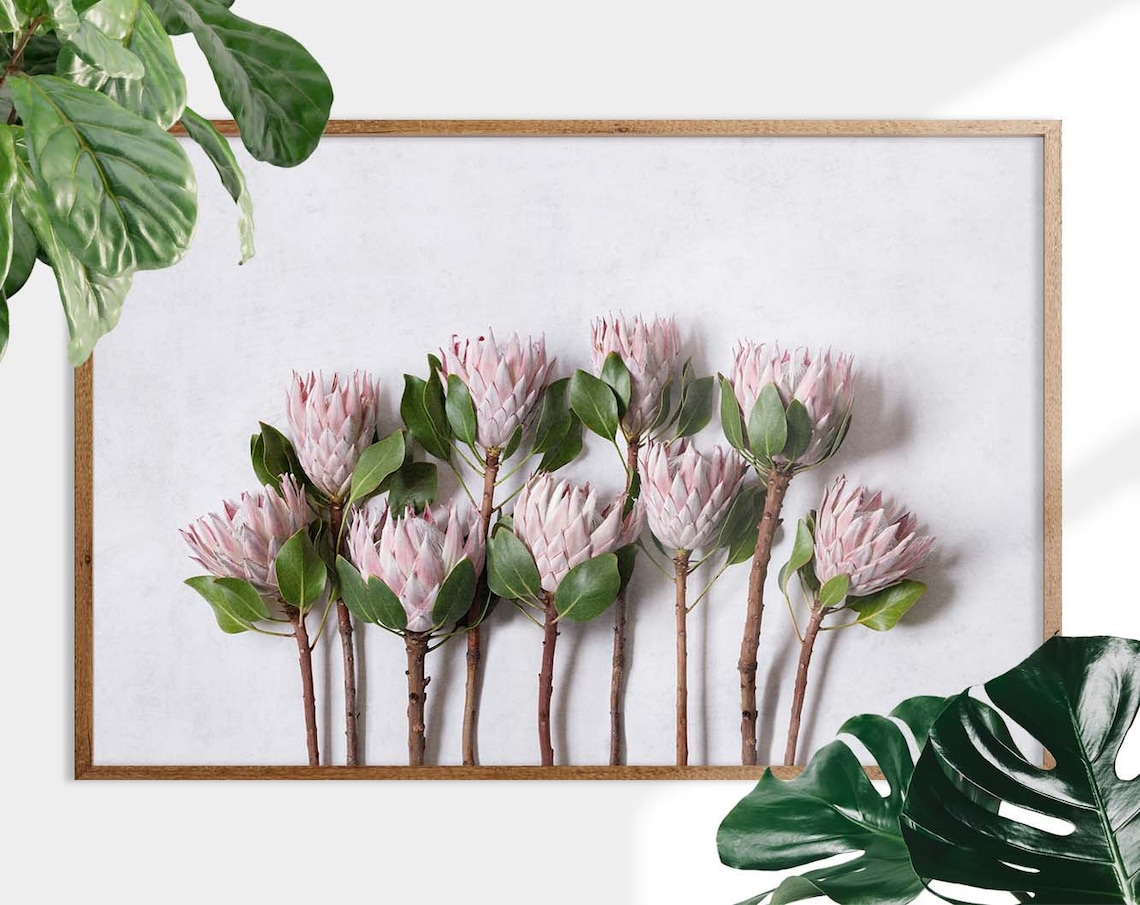 Large King Protea Wall Art Print, Protea Entryway Wall Art, Protea Print, Protea Botanical Wall