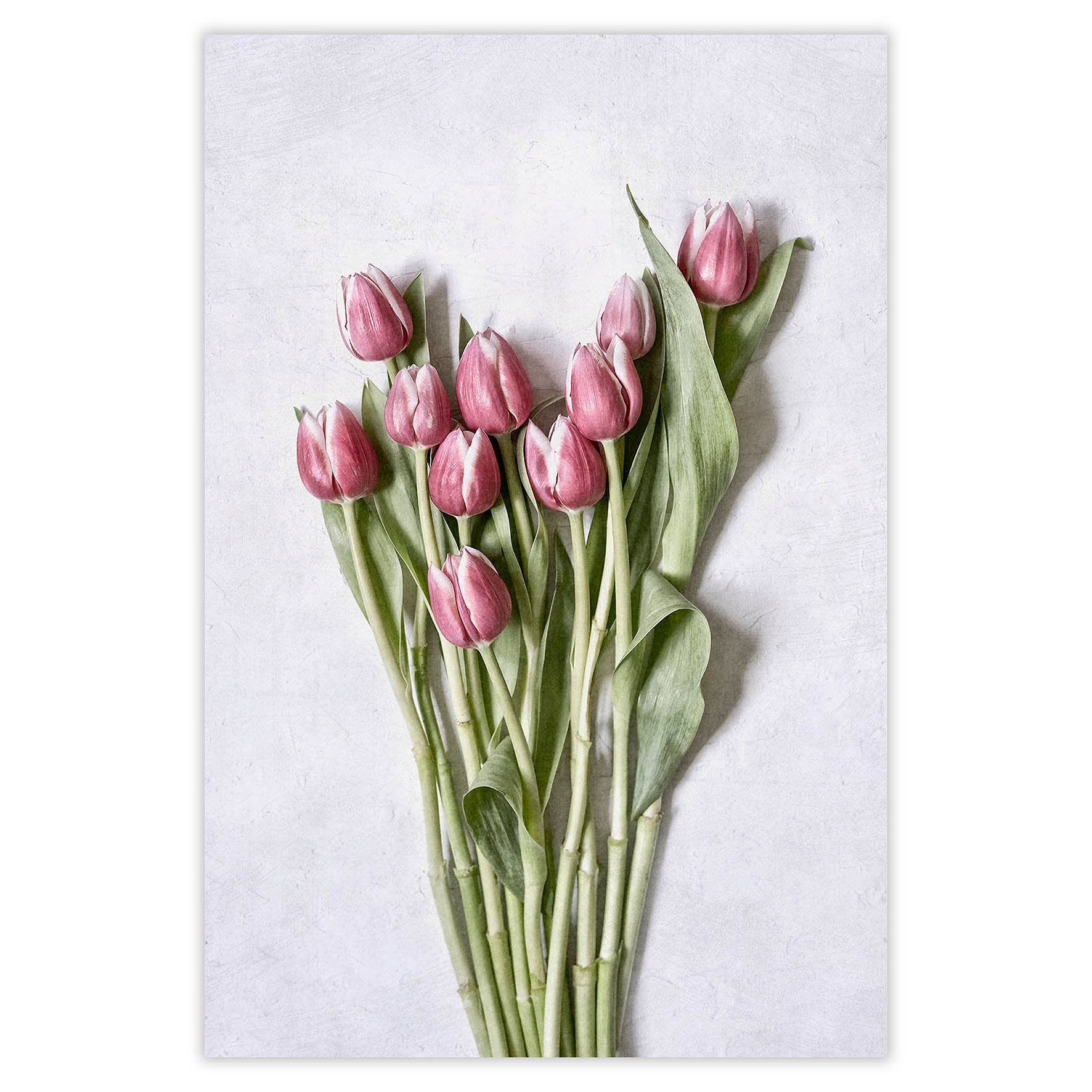 Pink Tulips Wall Art Set of 3, Floral Wall Art, Tulip Home Decor ...