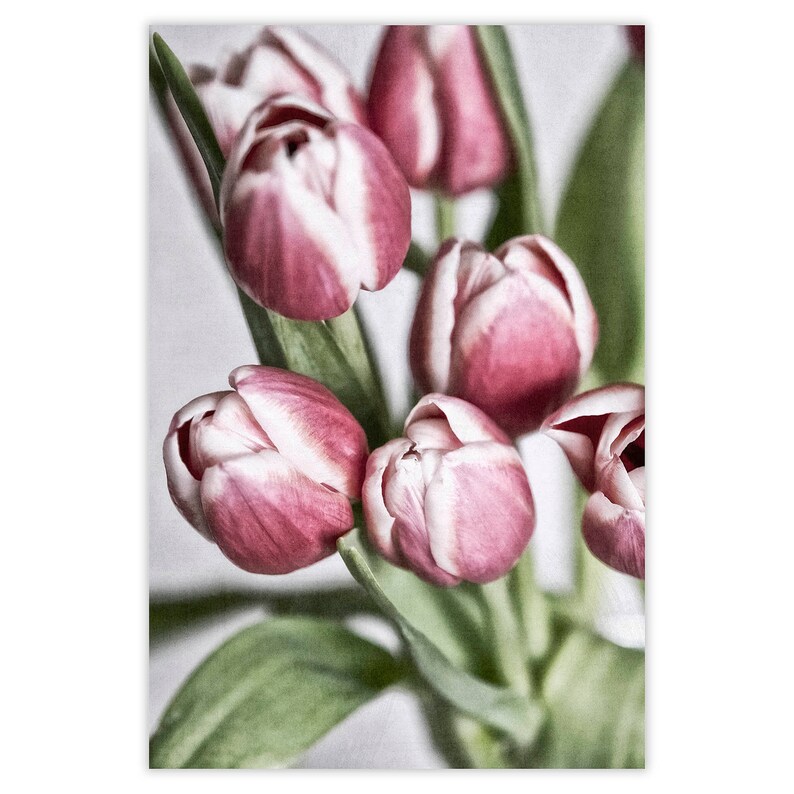 Pink Tulips Wall Art Set of 3, Floral Wall Art, Tulip Home Decor ...