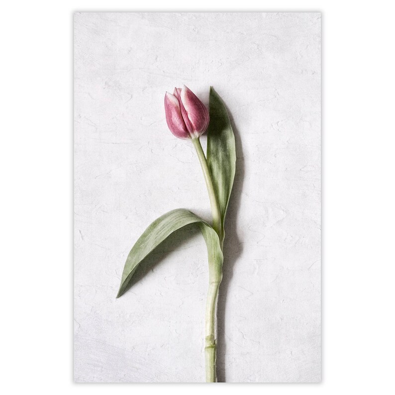 Tulips Flower Wall Art Set of 3, Floral Wall Art, Tulip Home Decor ...