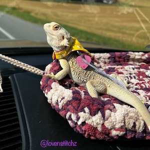 Crochet Beardie Lounging Bed - Pamper your dragon! (PDF file: NOT a finished product)
