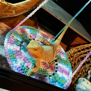 May include: A light brown bearded dragon lizard is sitting on a colourful crocheted hammock swing. The hammock is made with a variety of colours including pink, purple, blue, green, and white. The hammock is hanging from a wooden frame.