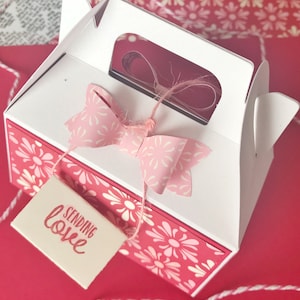 Mini Valentine Giebel Box, schöne Geschenk-Box, die Gegenstände Ihrer Wahl für Lehrer, Freunde, Eltern, Schüler, Mütter, Nachbar halten kann