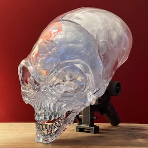 Puede incluir: Una escultura de calavera transparente con detalles visibles de dientes y cuencas de los ojos. La calavera está montada sobre un soporte de metal oscuro. La escultura se encuentra sobre un fondo rojo y se exhibe sobre una superficie de madera.