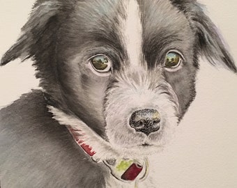 Custom Dog Portrait