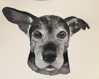 Custom Dog Portrait