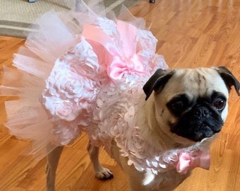 dresses for pugs