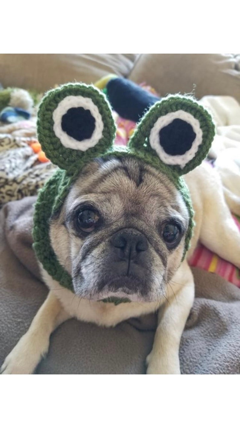 Frog crochet snood