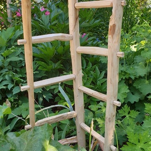 Op de afbeelding: Een houten trellis gemaakt van natuurlijke takken met vijf spijlen. De trellis staat in een tuin met groene planten en bladeren.