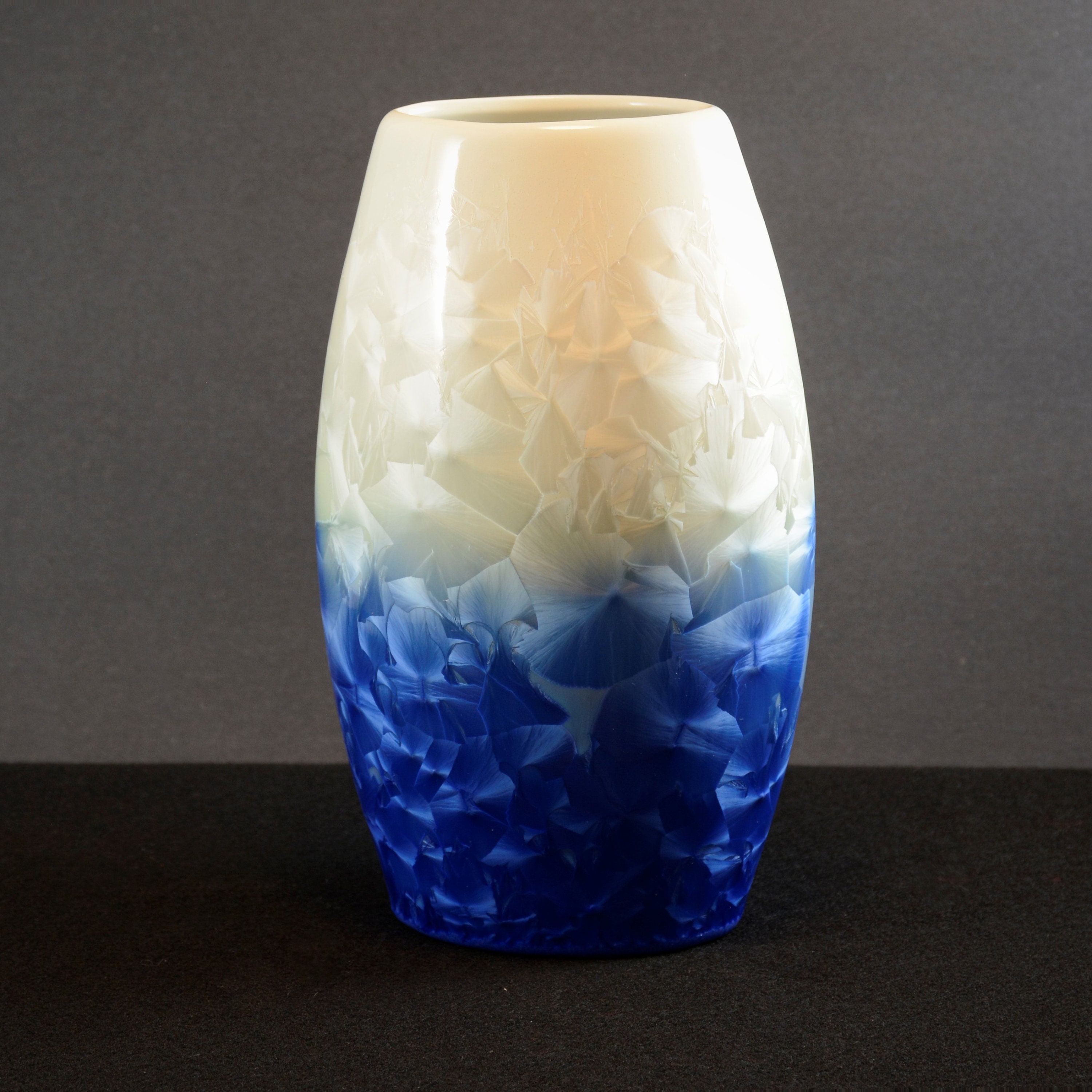Ceramic Frosted White and Blue Vase in Case Etsy
