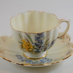 RARE Paragon Teacup with Yellow and Blue Long Stem Flowers