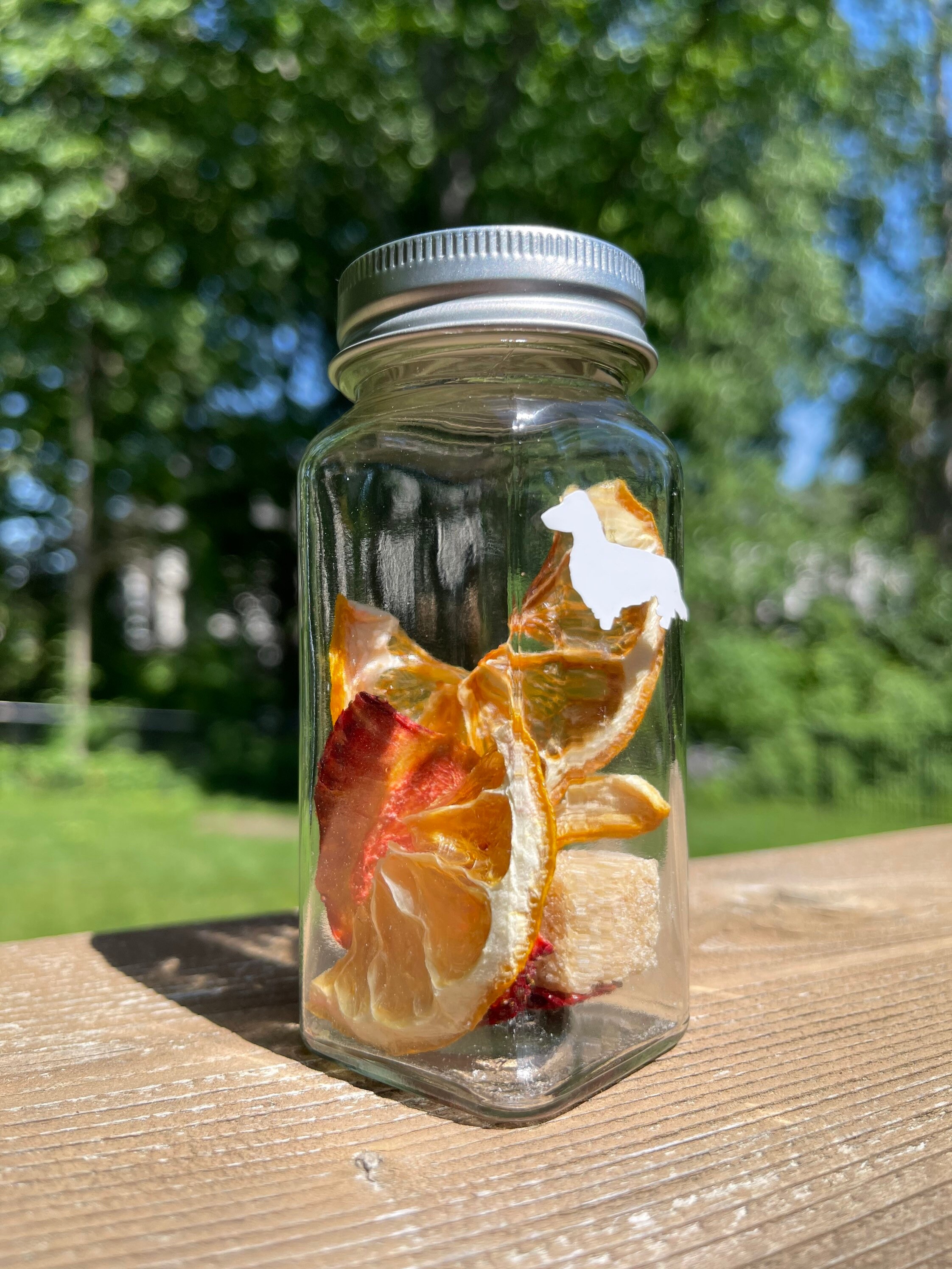 Lemonade Cocktail Infusion Kit Alcohol Infusion Jar Bar to Etsy