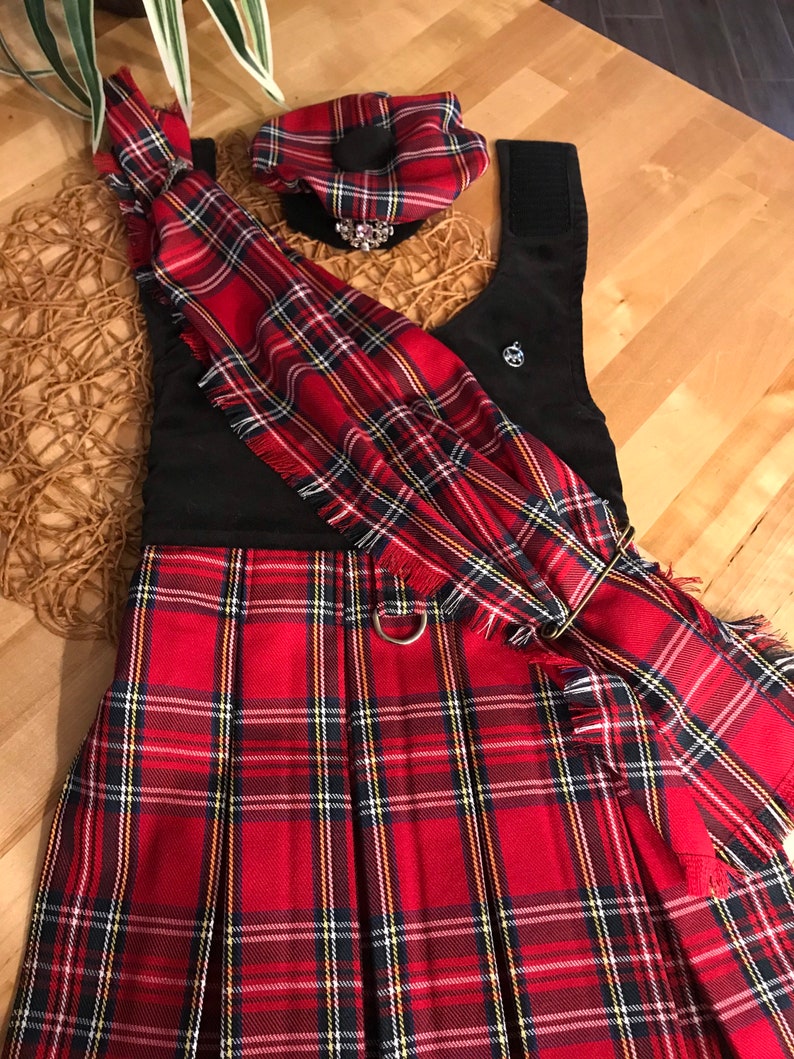 Dog Kilt and Tam Hat by Fetching Dog Fashions Tartan Choices Red