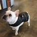 Brooke Taylor reviewed Faux Leather Vest - Fetching Dog Fashions