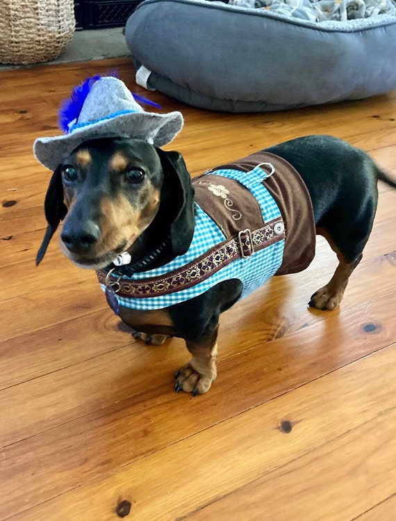 Sausage top dog clothing