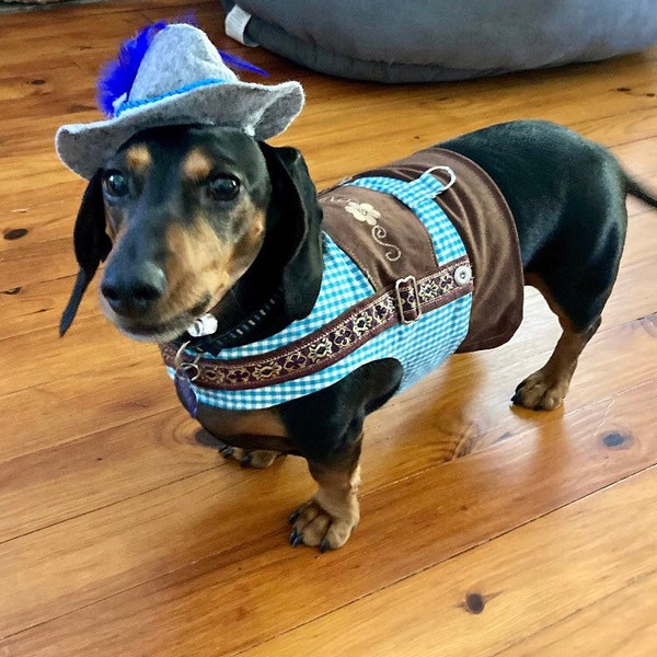 Bavarian Vest (C) with Hat, Award Winning Harness Dog Clothes Dog Clothing, Oktoberfest Dog Costume