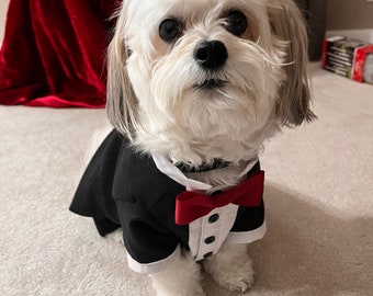Dog Tuxedo for Wedding, Dog Suit by Fetching Dog Fashions