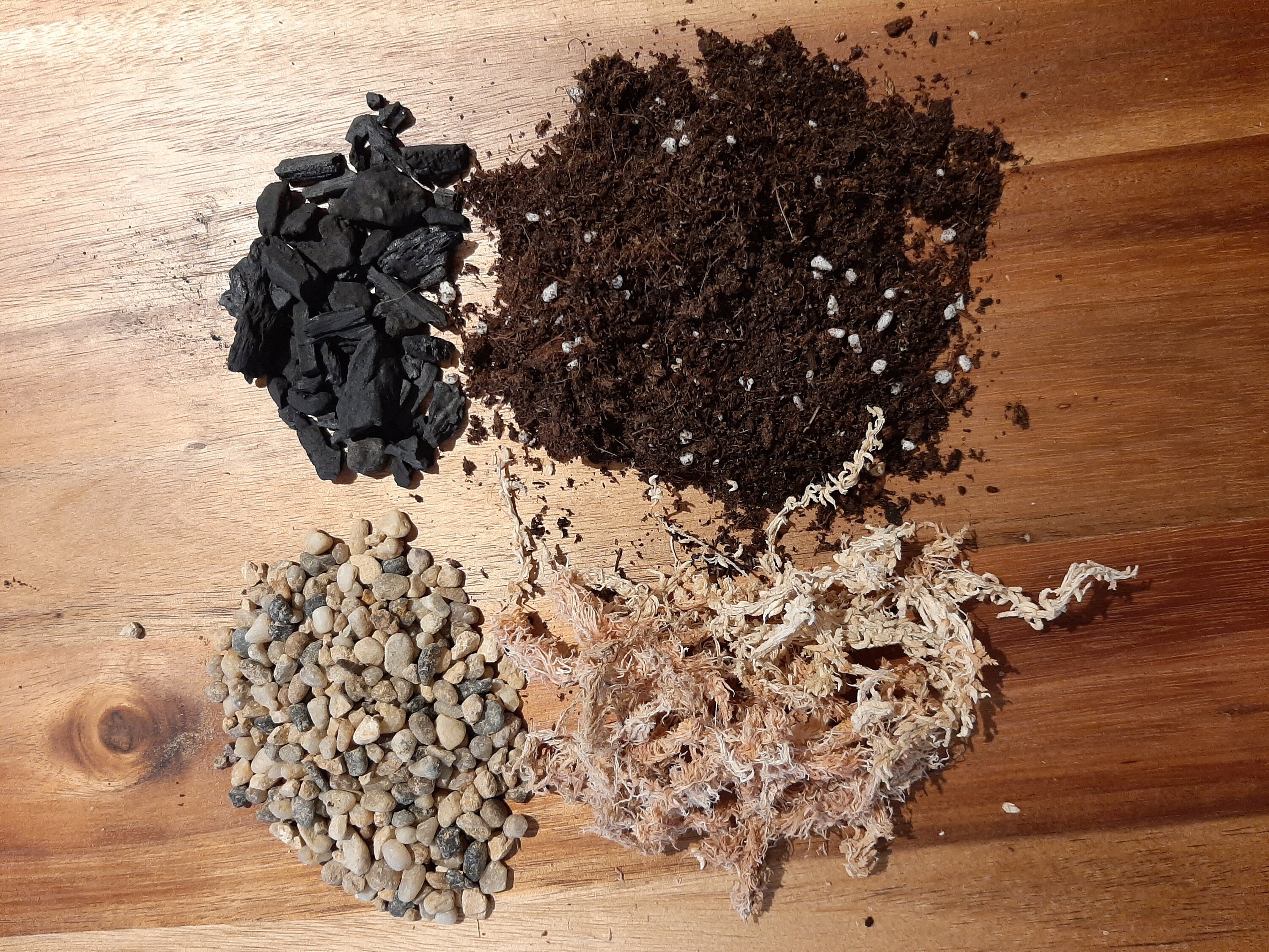 Do It Yourself Terrarium Kit