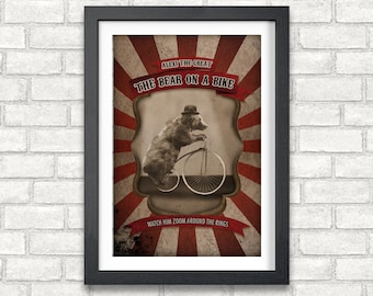 Alexi the Bear on a Bike"