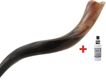 High Quality Yemenite Kudu Shofar - Polished Medium Size 28”-32” + Free Anti Odor Spray+Shofar Bag