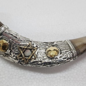 Sterling Silver Rams Horn Shofar With Star of David and Grapes Model + Bag + Instructions Book