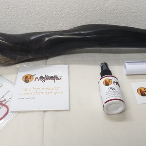 XL Unique Male Eland Shofar Set From The Holy Land -Polished - The White Brand