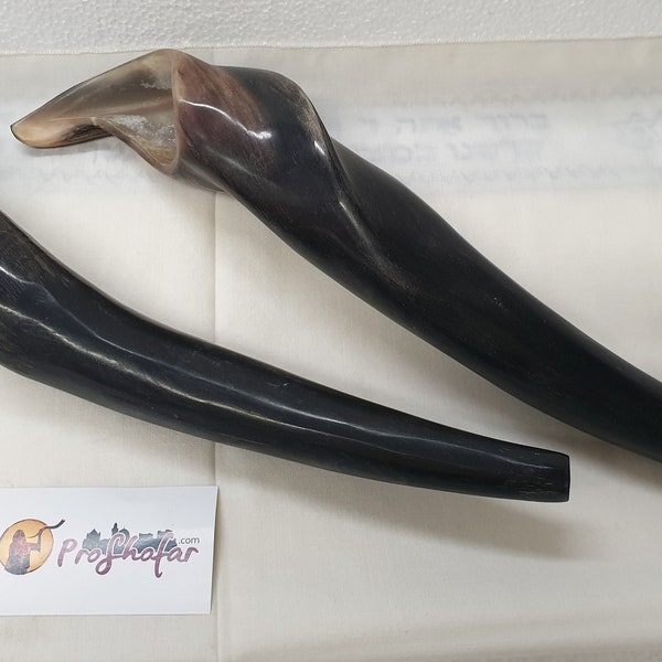 Shofar Etsy