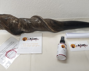 M-L Unique Male Eland Shofar Set From The Holy Land - Half Polished - The White Brand
