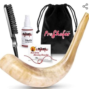 Rams Horn Shofar Set - Polished