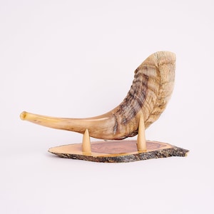 Small ram&#39;s horn shofar from the holy land with a shofar tips stand from olive wood