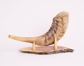 Small ram's horn shofar from the holy land with a shofar tips stand from olive wood