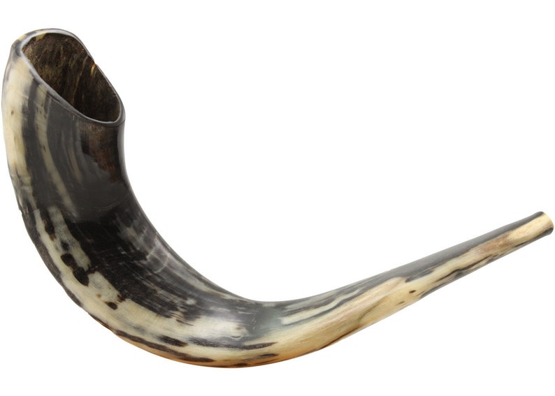 Ram Horn Shofar Trumpet From Israel Polished Koѕhеr Etsy