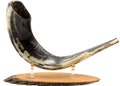 Ram Horn Shofar Trumpet from Israel + Wooden Stand - Polished Koѕhеr Trаdіtіonаl Tuned and Tested 16"-18" product logo