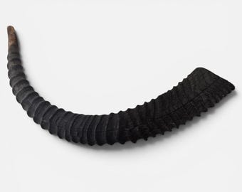Authentic Sable Shofar Set Made in The Holy Land