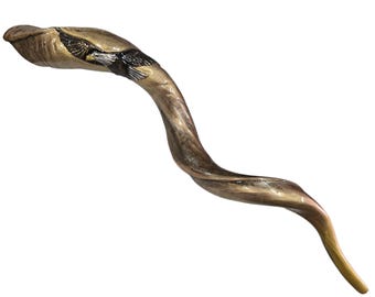 Hand Engraved Kodu Shofar With The Eagle Design + Bag