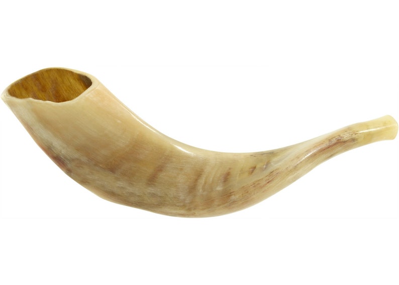 Ram Horn Shofar Trumpet From Israel Polished Koѕhеr Etsy