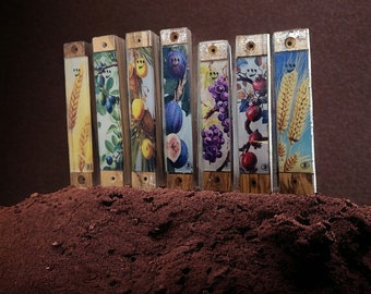 Medium Size Mezozah Case Set of the Seven Species Made of Olive Wood and Glass