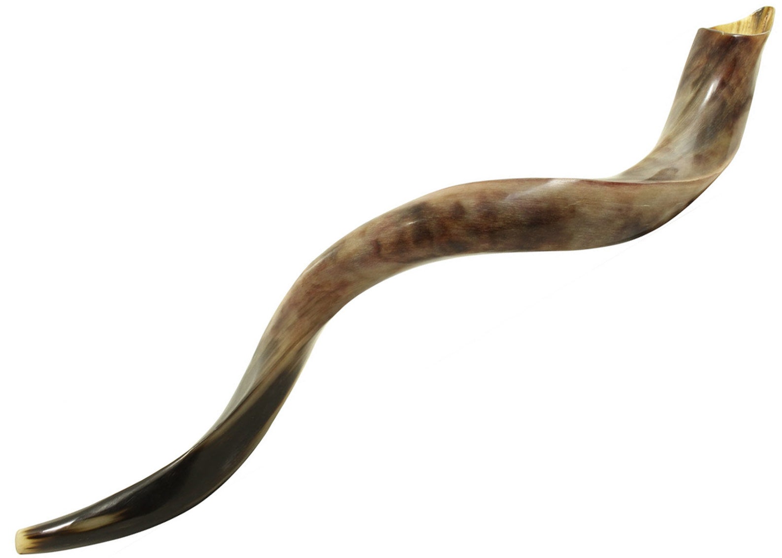 Shofar En Corne De Kudu Du Yémen - Casher - Longueur 71-76 Cm - Poli - Import D'Israël