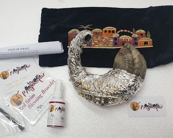 Silver Jerusalem View Marino Shofar Set - The White Brand