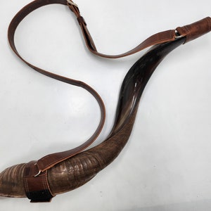 May include: A brown leather strap is attached to a dark brown shofar, a traditional Jewish ceremonial horn. The shofar is made from a ram's horn and has a natural, textured surface.