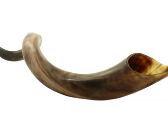 High Quality Yemenite Kudu Shofar - Polished Large Size 40”-48” + Free Anti Odor Spray + Free Shofar Bag