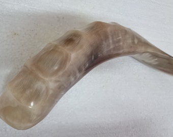 Unique Waves Model Ram's Horn Shofar Hand Made in Israel + Bag