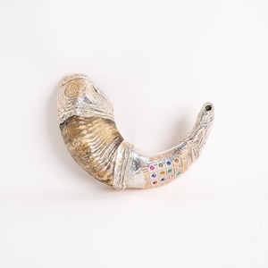 Silver on a Jericho ram&#39;s horn shofar with choshen model
