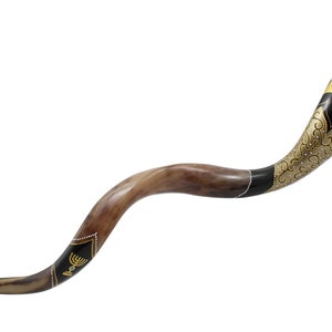 Hand-Painted Yemenite Kudu Shofar " Magen David"