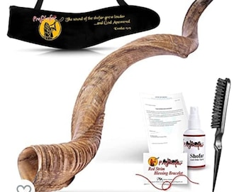 Kodu Shofar-set met natuurlijke afwerking