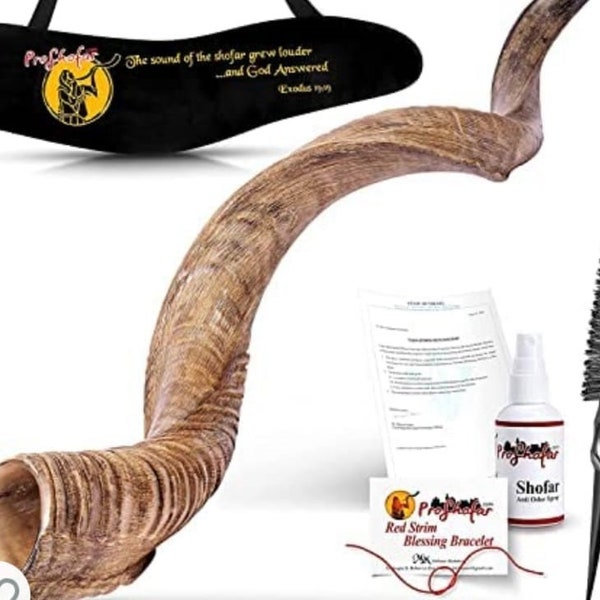 Kodu Shofar Natural Finish Set