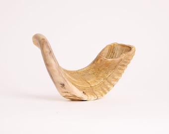Jericho shofar from the holy land