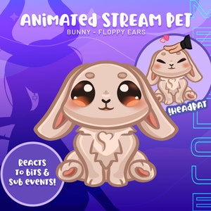 Bunny Floppy Ears Animated Stream Pet greets chatters reacts to subs and bits for twitch twitch streamers streaming animated digital asset