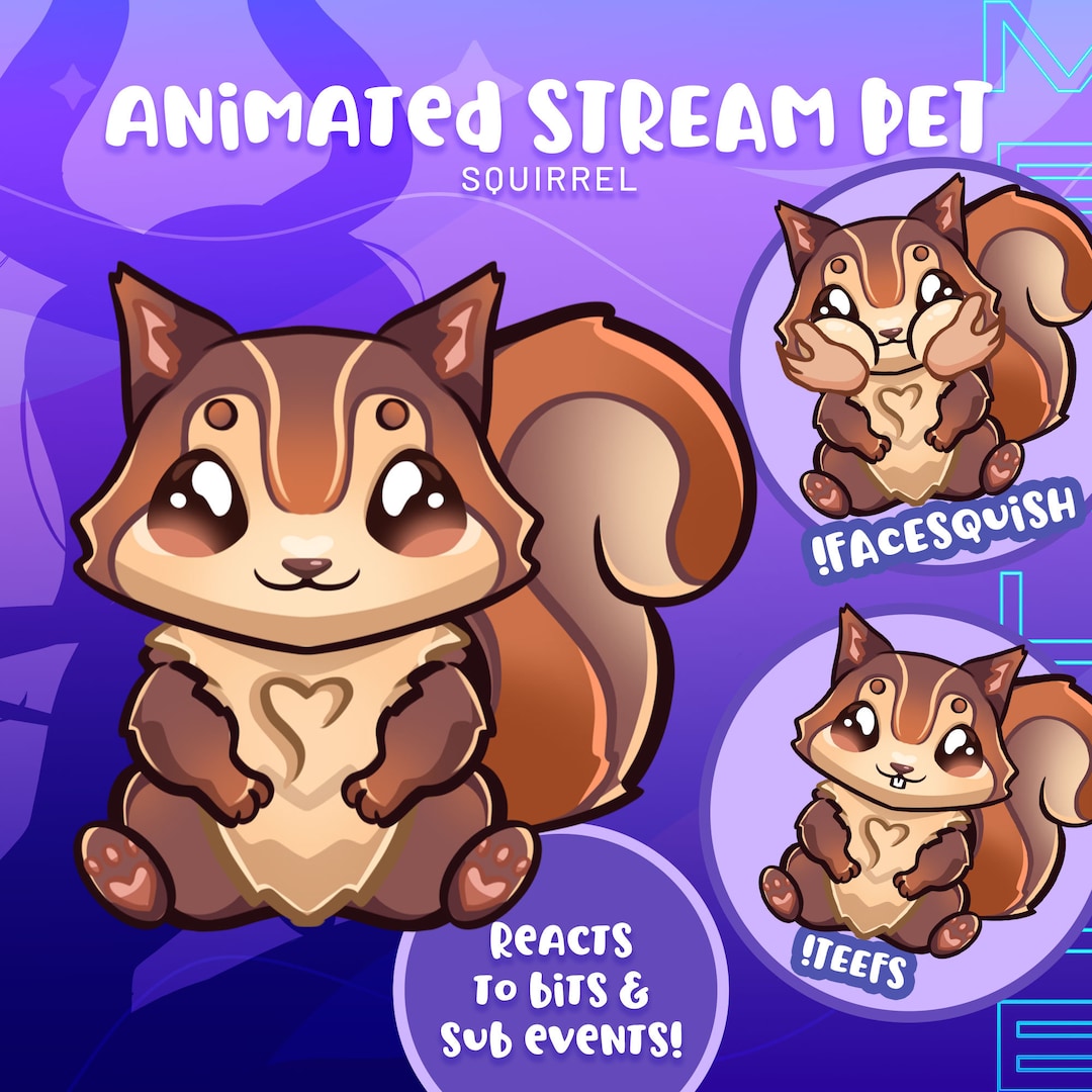 Interactive Squirrel Twitch Stream Pet Overlay - Etsy