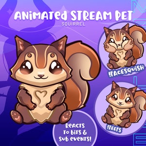 Interactive Squirrel Stream Pet: Chat Reactions, Greetings, Subs & Bits Response - Animated Digital Asset for Twitch Streamers